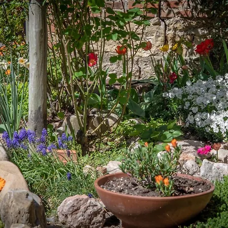 La Mimosa E Il Gelsomino Bed & Breakfast *