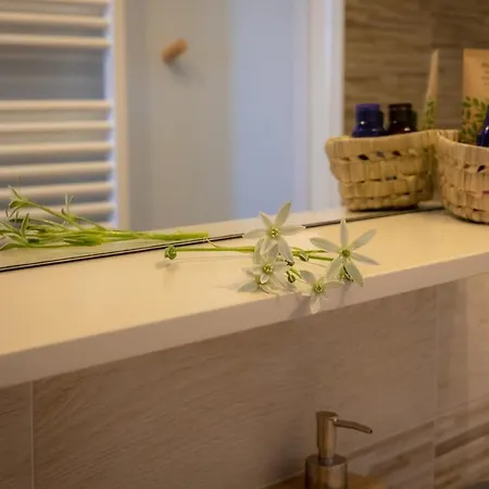 Bed & Breakfast La Mimosa E Il Gelsomino Canneto Pavese