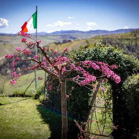 La Mimosa E Il Gelsomino Bed & Breakfast