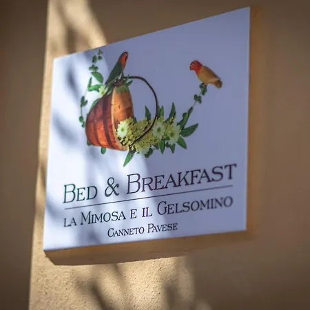La Mimosa E Il Gelsomino *