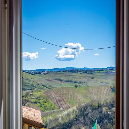 La Mimosa E Il Gelsomino